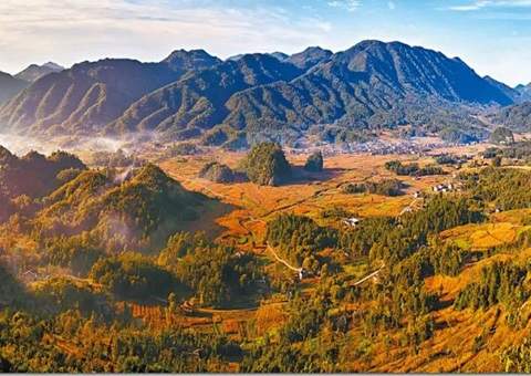 ���У�����ģʽ�ƽ�ũ������ı���Խ����õ����� 