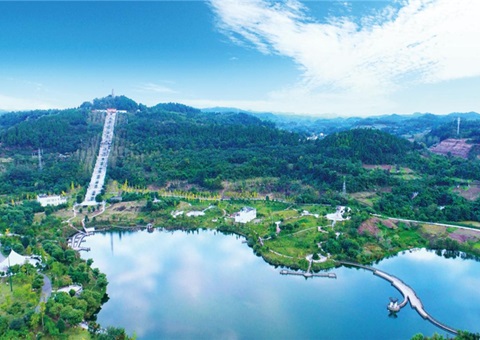 ������������̬�븻�񲢽���������ɫ���ʢͬ��