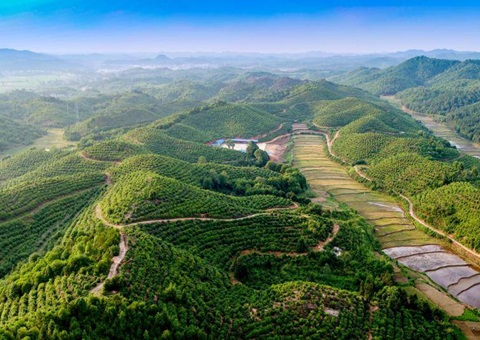 ����ȫ�����조��۶ɭ�����⡱<br> ���꿪������ɭ��ʳ�������679.4���