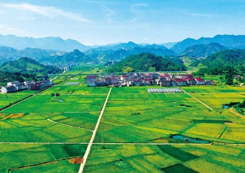 ��������ʵ�������ۺ����ζ�ԪͶ����ģʽ<br>����Ͷ������ ��Ŀ�ʽ����� �����Դ���� ֧�����߼���