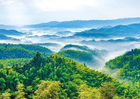 ���Ĵ�ʡ�����ռ����루2021��2035�꣩��ӡ��