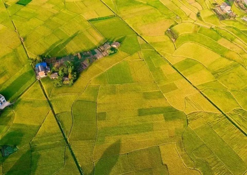 �Ĵ�ʡ������������ũ�ﴢ����������������