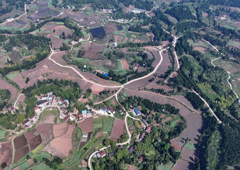 �ڽ��ж���������ȫ���ø��ر����������� ȫ�������õذ���