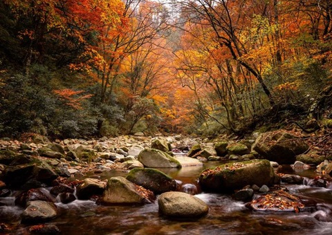 ���й���ɽ��ŵˮ�����µ��ʹ�԰�����й����µ��ʹ�԰����20���������˶�