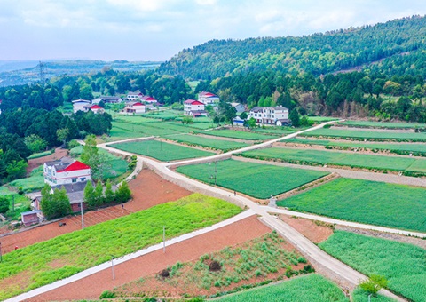 ��Ԫ�����С������ﳤ���Ƽ�������׼����������������