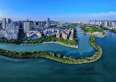 ǿ���� ������ | �ѹ�Ӧ20�ڣ����Ž��������ҵ������;��аת������