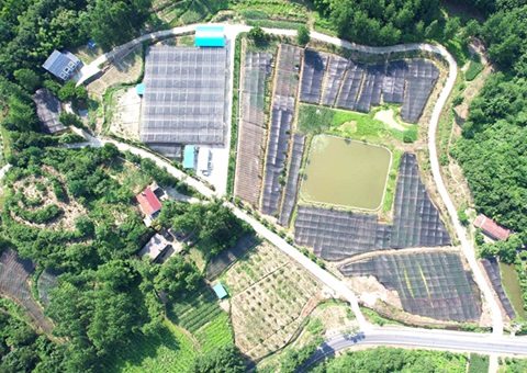 ����ʡ���سа�ı��Ȩ���벻����ͳһ�Һ�ȡ����Ч������ʵ��ȫʡ��ͣ�ɷ��¡�