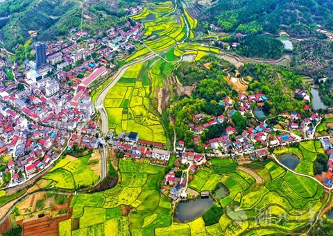 �������ɽ����»�����ȫ�������ۺ�����Ϊ����������ȫ���˸���