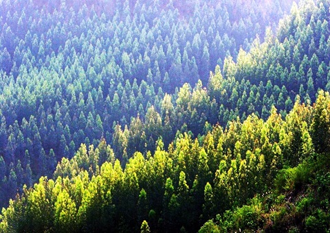 Ч������2���������������ո�����34.2��Ķ�ֵ�ȷȨ���ٽ���