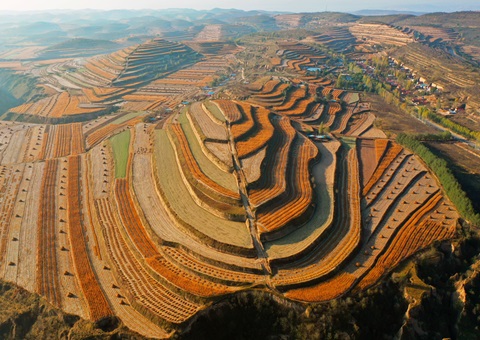 �����Ļ���������������������������2025��11��1����ʩ��