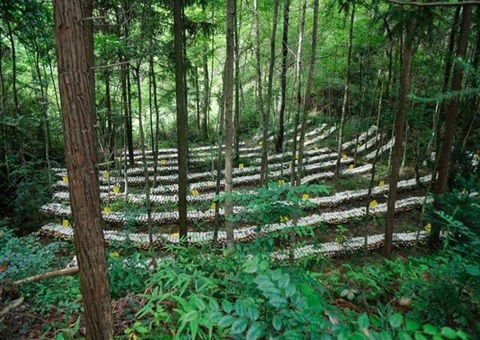 ����ɭ�ֿ�һ��ı����������̬����ҵ������Эͬ������ʱ��