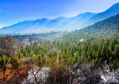 ��������̽����������������������