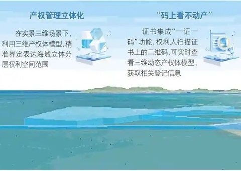 ɽ���׸����ײ�Ȩ��3D����֤������������Ϊ���Ⱥ����������̻���