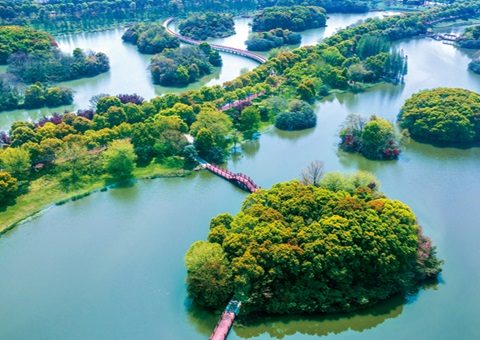 ����ʡʪ�ر����������Ѵ�61.99%