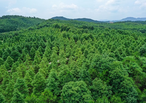 ���2024����Ȩ��ת������21.36��Ԫ