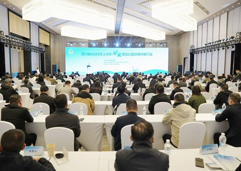 �Ĵ�ʡ����2025���ϰ����ҵȨ�������鼯���ƽ��