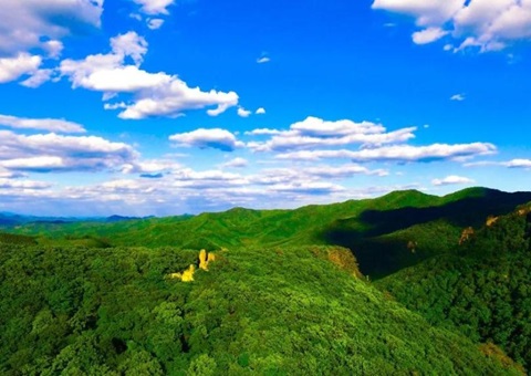 �������ֲ������80��Ԫ�Ŵ�֧��