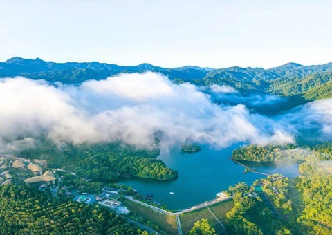 ���Ͻ��ص�����5��ɭ�ֿ�������