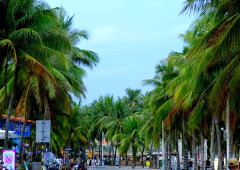 �����������ᡱ���������������кΡ�������?