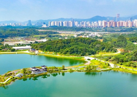 �㶫�����ƽ�ȫ�������ۺ����� ����46��ʵ��ƻ��ѻ�ʡ������