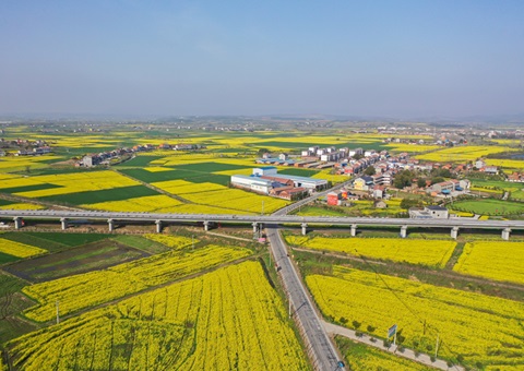 �������Ź�������ά������ģʽ   ����ȫ�������ۺ�������ģ����