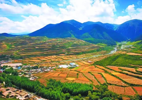 �ຣʡ��Ȼ��Դ����̨���������ͨ��ʽ������������������ &nbsp;&nbsp; �ƶ�ȫʡ���������������ȫ����