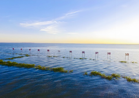 ����ʡӡ�������׸���Ȼ��Դ�ʲ����üƻ�����ָ��