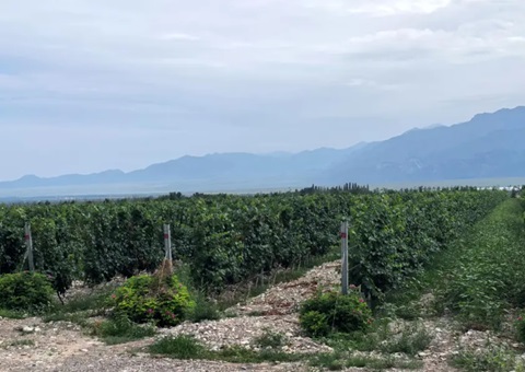 ���ģ���չ��̬��Դ�����Ӳ� ̽��ȫ����Эͬ����·��