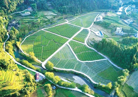 �����õ�������Ŀ�ϲ�����ʡʱ90��